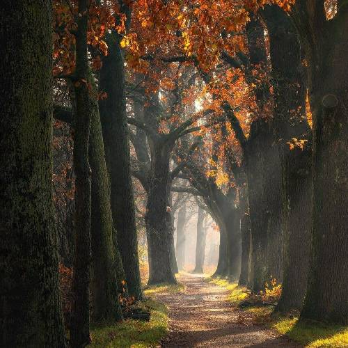 حامد یزدانی همش دارم عکس تورو تو دل نگاهی میکنم بغض گلومو میگیره